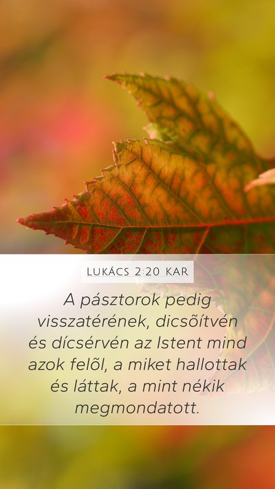 Lukács 2:20 KAR Mobile Phone Wallpaper - A pásztorok pedig visszatérének, dicsõítvén - Mobile Bible Verse Wallpaper