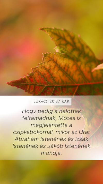 Lukács 20:37 KAR Bible Verse Image