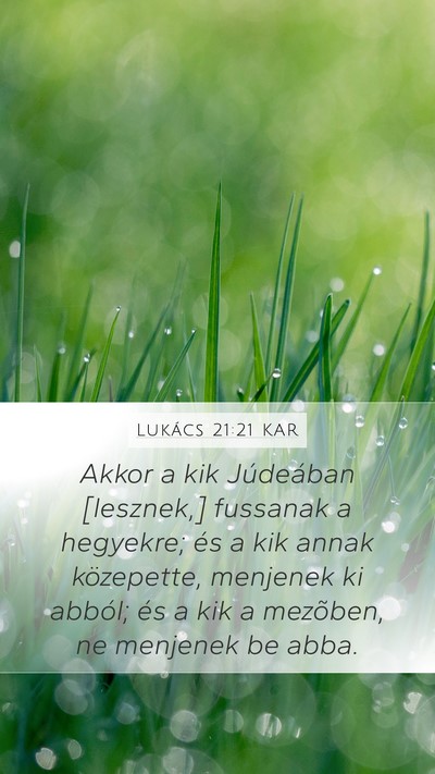 Lukács 21:21 KAR Bible Verse Image