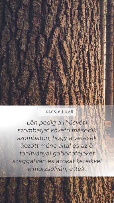 Lukács 6:1 KAR Bible Verse Image