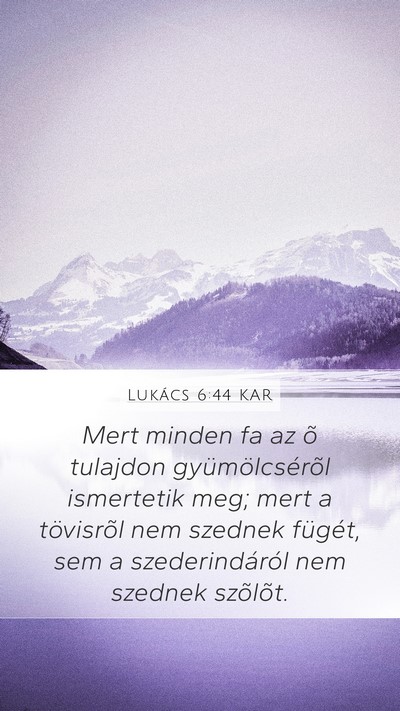 Lukács 6:44 KAR Bible Verse Image