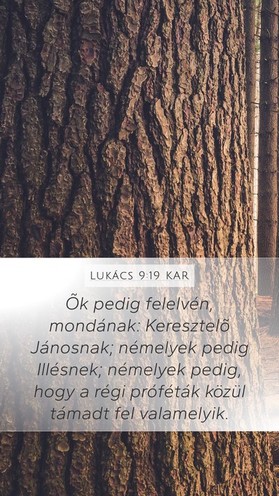 Lukács 9:19 KAR Bible Verse Image