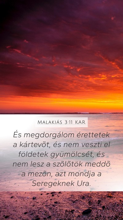 Malakiás 3:11 KAR Mobile Phone Wallpaper - És megdorgálom érettetek a kártevõt, és nem - Mobile Bible Verse Wallpaper