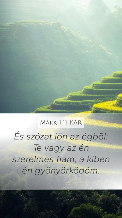Márk 1:11 KAR Mobile Phone Wallpaper - És szózat lõn az égbõl: Te vagy az én - Mobile Bible Verse Wallpaper