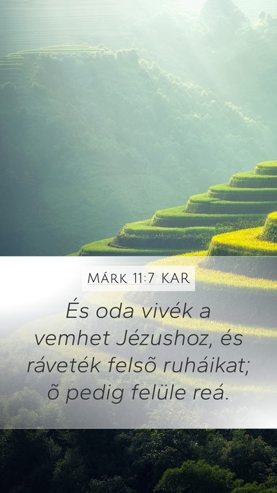 Márk 11:7 KAR Mobile Phone Wallpaper - És oda vivék a vemhet Jézushoz, és ráveték - Mobile Bible Verse Wallpaper