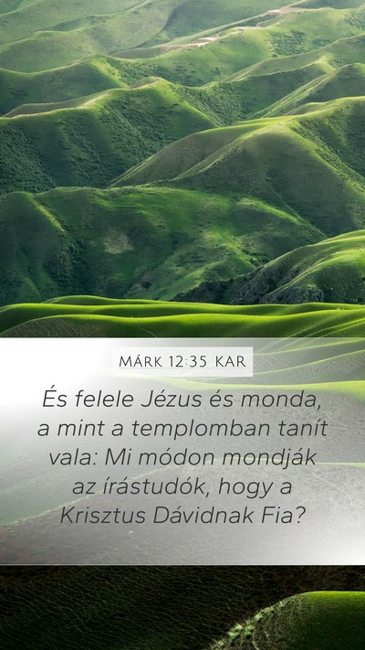 Márk 12:35 KAR Bible Verse Image