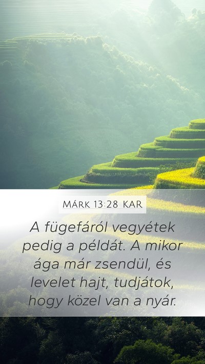 Márk 13:28 KAR Bible Verse Image