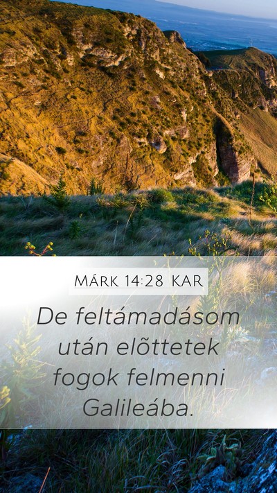 Márk 14:28 KAR Bible Verse Image