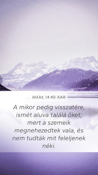 Márk 14:40 KAR Bible Verse Image