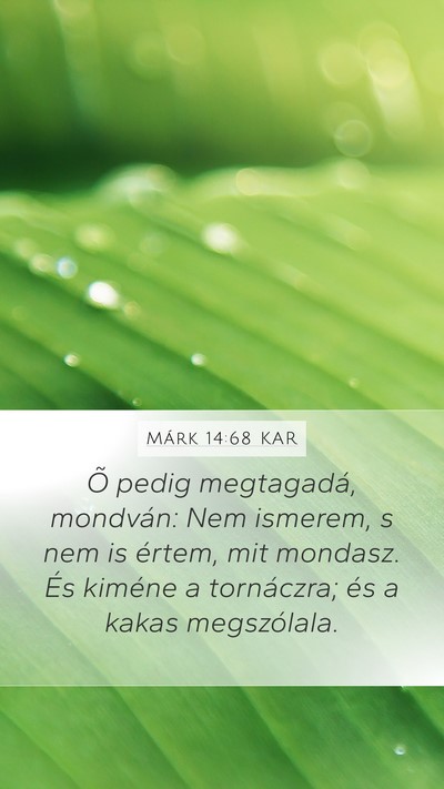 Márk 14:68 KAR Bible Verse Image