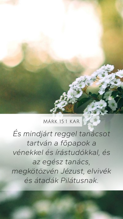 Márk 15:1 KAR Bible Verse Image