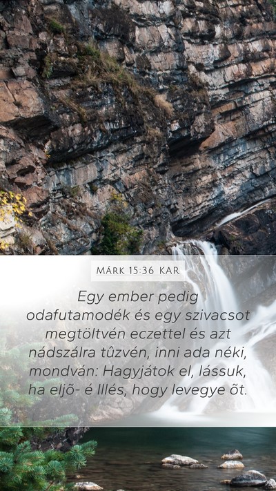 Márk 15:36 KAR Mobile Phone Wallpaper - Egy ember pedig odafutamodék és egy szivacsot - Mobile Bible Verse Wallpaper