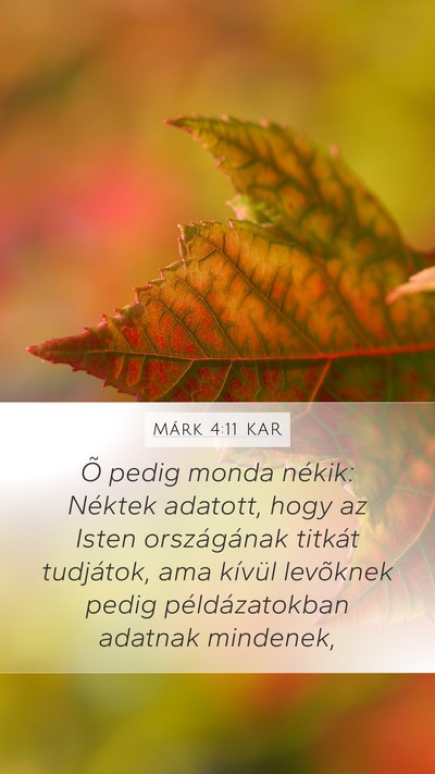 Márk 4:11 KAR Bible Verse Image