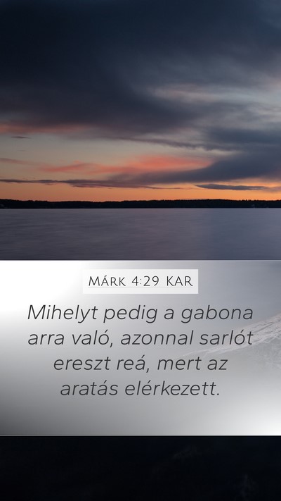 Márk 4:29 KAR Mobile Phone Wallpaper - Mihelyt pedig a gabona arra való, azonnal - Mobile Bible Verse Wallpaper