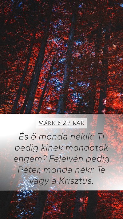 Márk 8:29 KAR Bible Verse Image