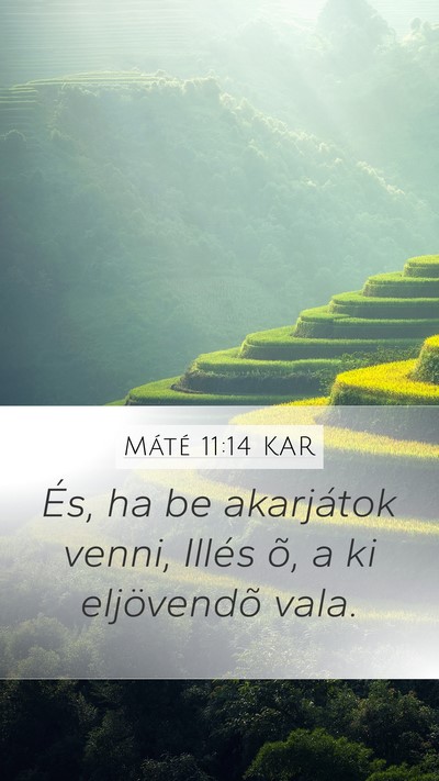 Máté 11:14 KAR Bible Verse Image