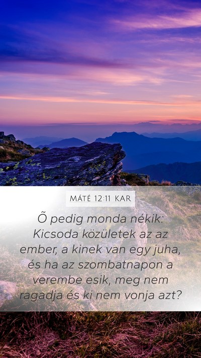Máté 12:11 KAR Bible Verse Image