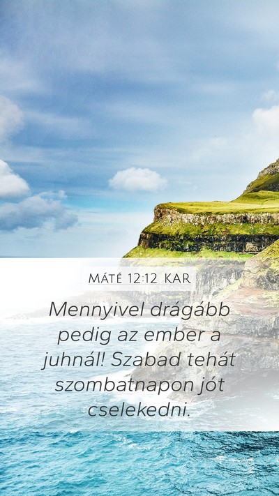 Máté 12:12 KAR Mobile Phone Wallpaper - Mennyivel drágább pedig az ember a juhnál! - Mobile Bible Verse Wallpaper