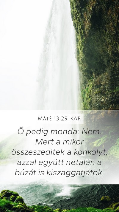 Máté 13:29 KAR Mobile Phone Wallpaper - Õ pedig monda: Nem. Mert a mikor összeszeditek - Mobile Bible Verse Wallpaper