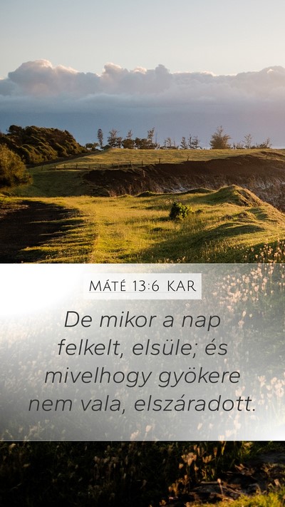 Máté 13:6 KAR Bible Verse Image