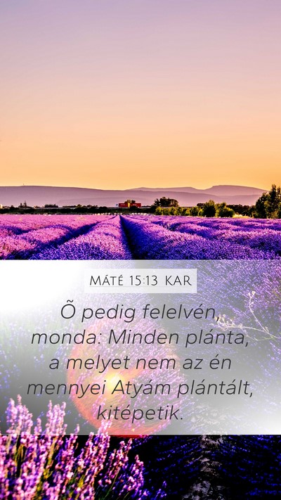 Máté 15:13 KAR Bible Verse Image