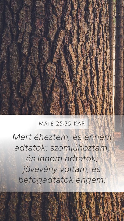 Máté 25:35 KAR Bible Verse Image