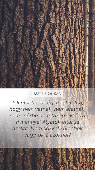 Máté 6:26 KAR Bible Verse Image