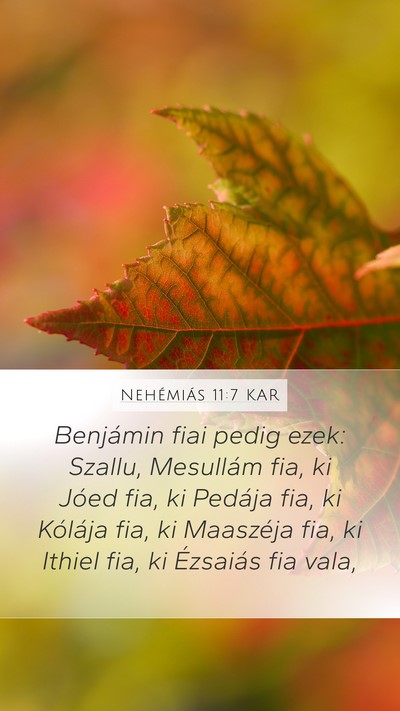 Nehémiás 11:7 KAR Bible Verse Image