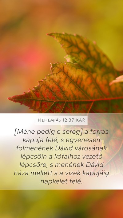 Nehémiás 12:37 KAR Bible Verse Image