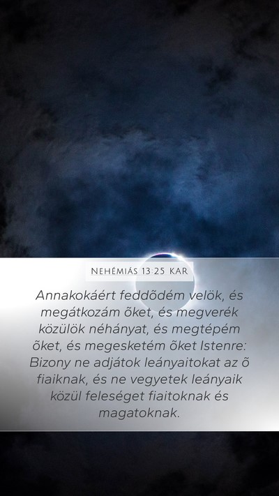 Nehémiás 13:25 KAR Bible Verse Image