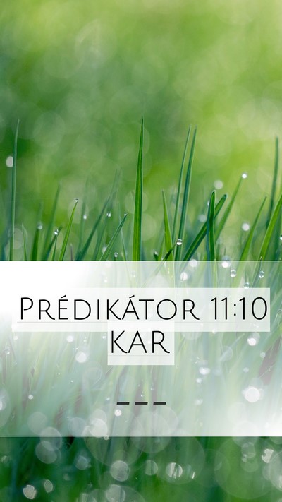Prédikátor 11:10 KAR Bible Verse Image