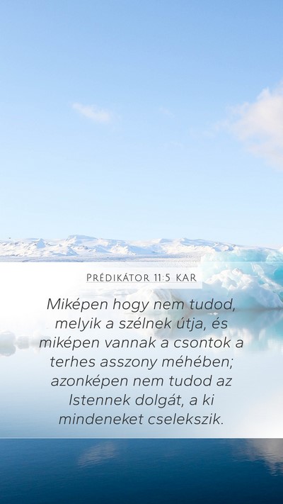 Prédikátor 11:5 KAR Bible Verse Image