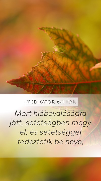 Prédikátor 6:4 KAR Mobile Phone Wallpaper - Mert hiábavalóságra jött, setétségben megy - Mobile Bible Verse Wallpaper