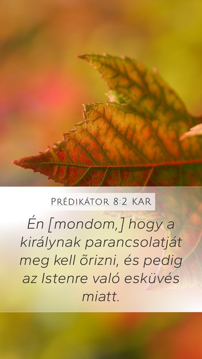 Prédikátor 8:2 KAR Bible Verse Image