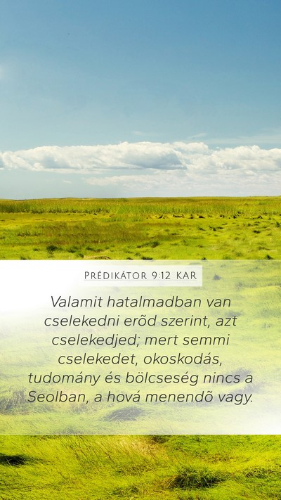 Prédikátor 9:12 KAR Bible Verse Image