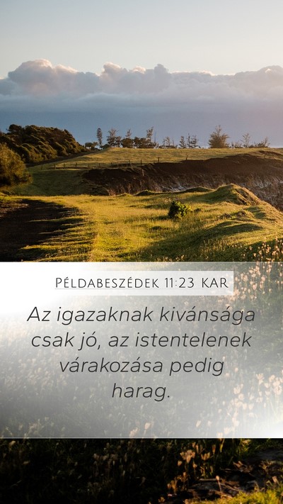 Példabeszédek 11:23 KAR Bible Verse Image