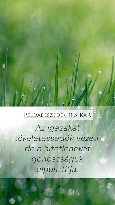 Példabeszédek 11:3 KAR Bible Verse Image