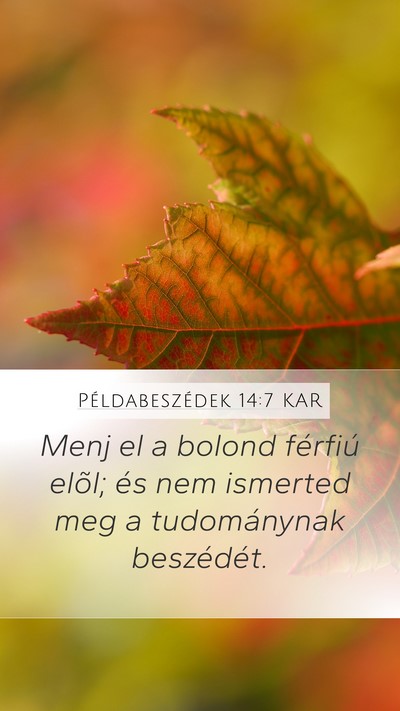 Példabeszédek 14:7 KAR Mobile Phone Wallpaper - Menj el a bolond férfiú elõl; és nem ismerted - Mobile Bible Verse Wallpaper