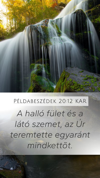 Példabeszédek 20:12 KAR Bible Verse Image