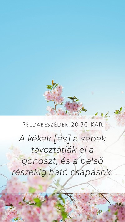 Példabeszédek 20:30 KAR Mobile Phone Wallpaper - A kékek [és] a sebek távoztatják el a - Mobile Bible Verse Wallpaper