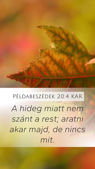 Példabeszédek 20:4 KAR Bible Verse Image