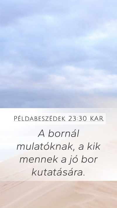Példabeszédek 23:30 KAR Bible Verse Image