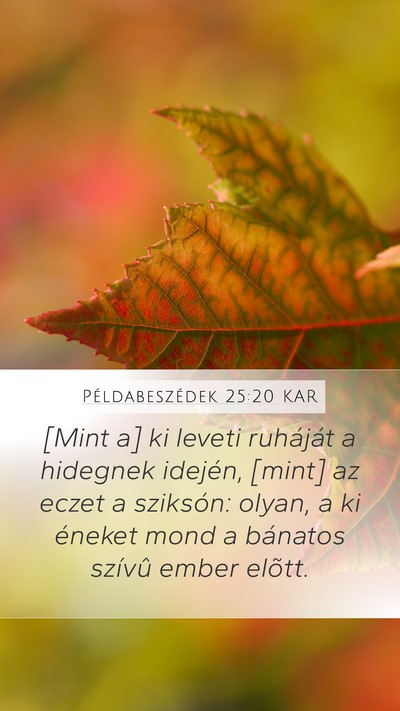 Példabeszédek 25:20 KAR Bible Verse Image
