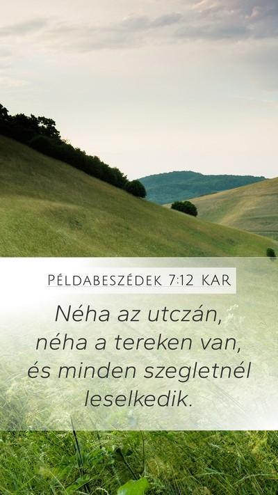 Példabeszédek 7:12 KAR Bible Verse Image