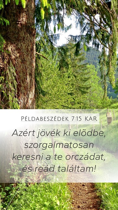 Példabeszédek 7:15 KAR Mobile Phone Wallpaper - Azért jövék ki elõdbe, szorgalmatosan keresni - Mobile Bible Verse Wallpaper
