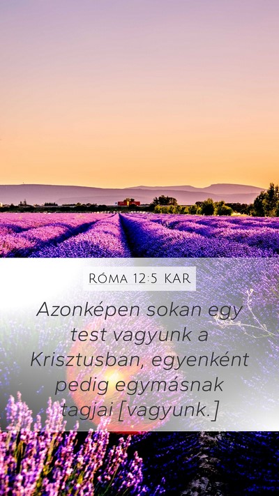 Róma 12:5 KAR Mobile Phone Wallpaper - Azonképen sokan egy test vagyunk a Krisztusban, - Mobile Bible Verse Wallpaper