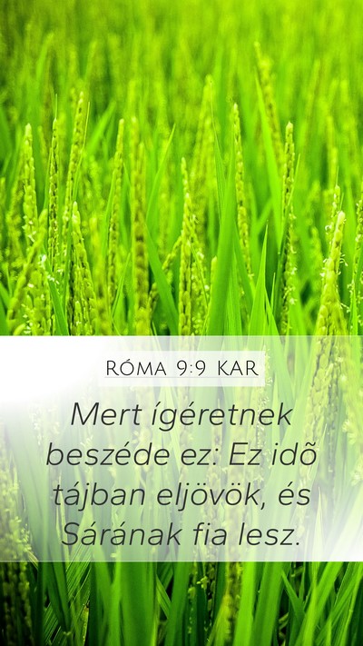 Róma 9:9 KAR Bible Verse Image