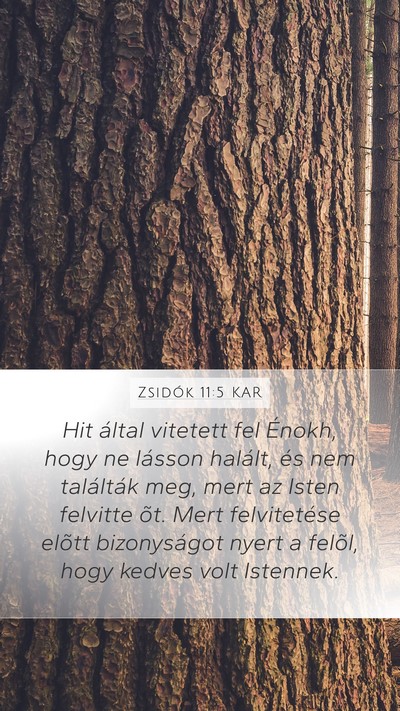 Zsidók 11:5 KAR Bible Verse Image