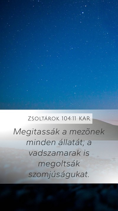 Zsoltárok 104:11 KAR Mobile Phone Wallpaper - Megitassák a mezõnek minden állatát; a - Mobile Bible Verse Wallpaper