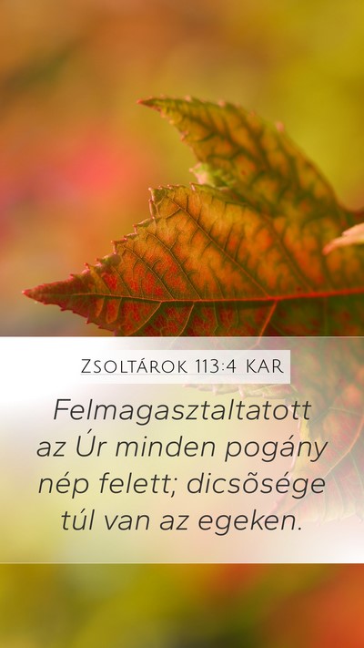 Zsoltárok 113:4 KAR Bible Verse Image